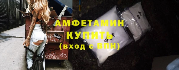 шишки Горняк