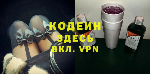 шишки Горняк