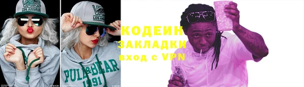 шишки Горняк