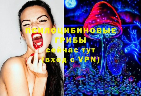 шишки Горняк