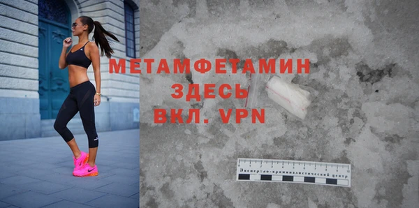 шишки Горняк